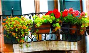 Горшки для цветов на балкон
