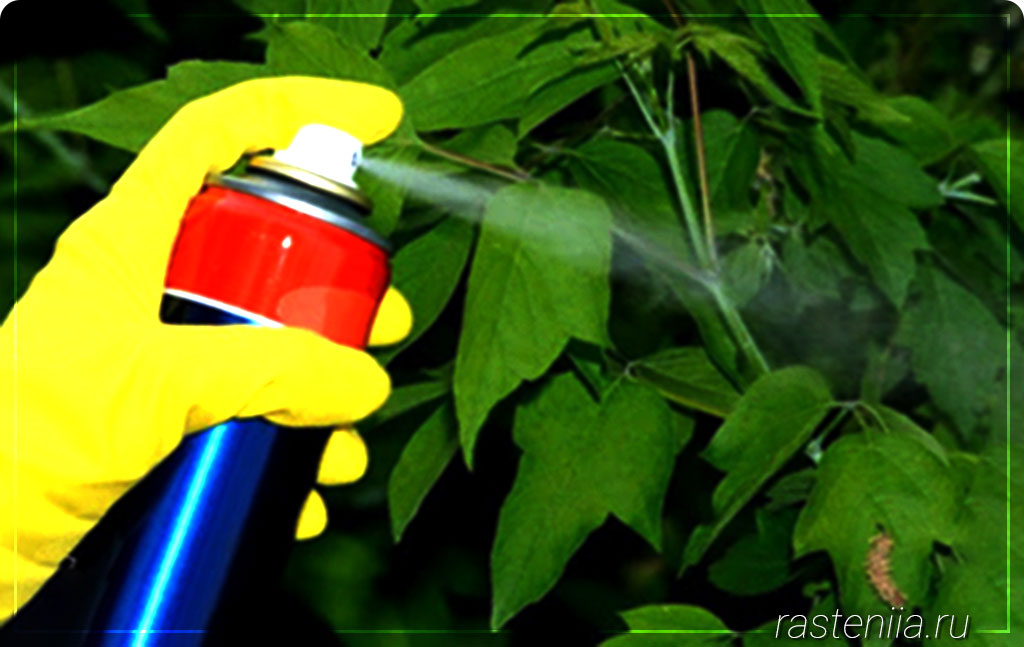 средства защиты растений от вредителей и болезней